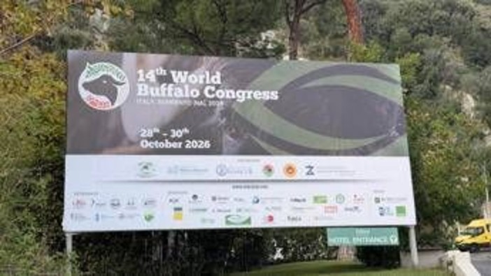 'World Buffalo Congress' road map per futuro con meno burocrazia e più innovazione