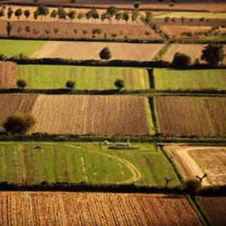 Banca nazionale delle Terre Agricole (Bta), al via nona edizione: in vendita 8.863 ettari per un valore di oltre 121 milioni di euro