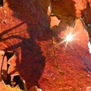 Sole e caldo ma solo per 48 ore, poi arriva il ciclone di Halloween: ecco il meteo che ci aspetta Sole e caldo ma solo per 48 ore, poi arriva il ciclone di Halloween: ecco il meteo che ci aspetta