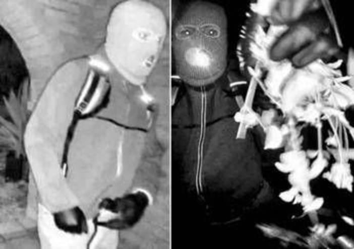 Madre conduttrice Nbc rapita, Trump: "Nancy Guthrie torni viva o pena di morte per i sequestratori"