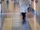 Roma, giornalista ricoverata in ospedale: "Vetri nella lasagna" Roma, giornalista ricoverata in ospedale: "Vetri nella lasagna"