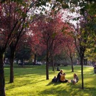 Ultime piogge poi arriva l’estate di San Martino in anticipo: le previsioni meteo