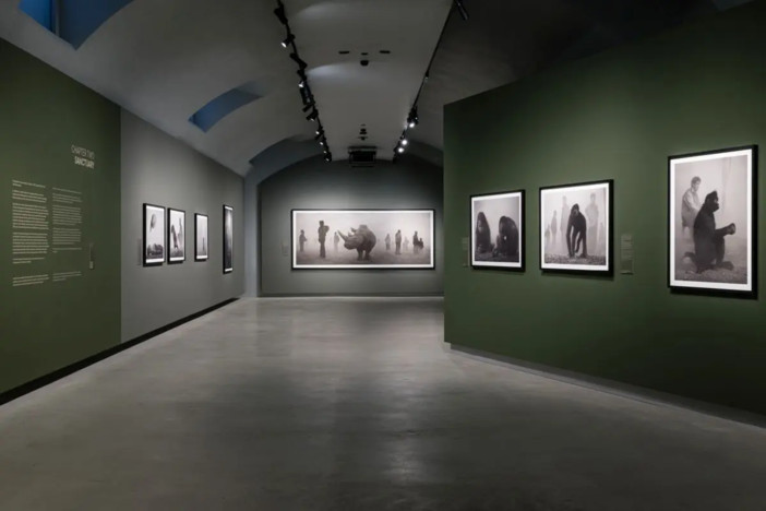Alle Gallerie d’Italia di Torino la mostra “Nick Brandt”