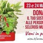 Settimana nazionale della sclerosi multipla, tornano le erbe aromatiche Aism in 500 piazze