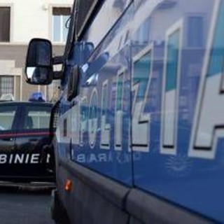 Agrigento, orrore a Naro: sgozza randagio e tenta di mangiarlo